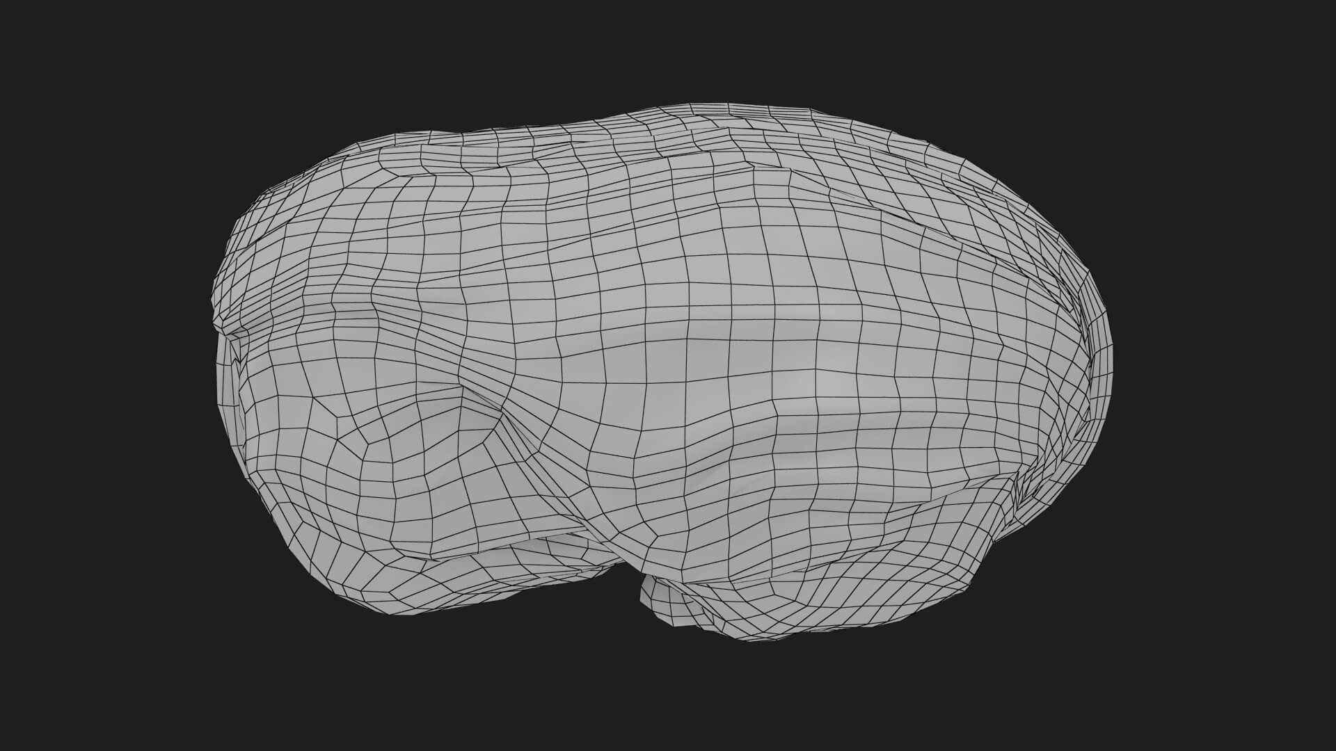 Flat Cabbage Half - 3D Scanned 3D Model