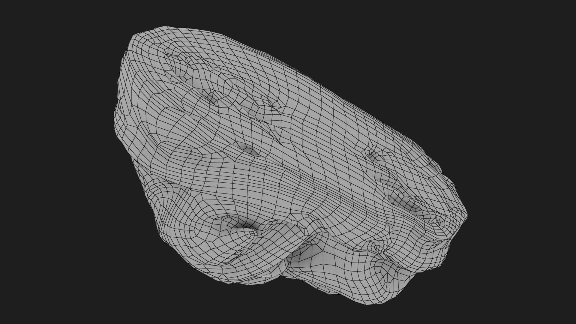 Flat Cabbage Half - 3D Scanned 3D Model