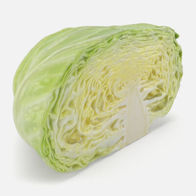 Flat Cabbage Half - 3D Scanned