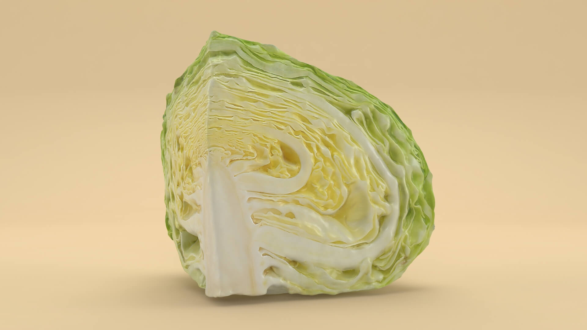 Flat Cabbage Slice - 3D Scanned 3D Model