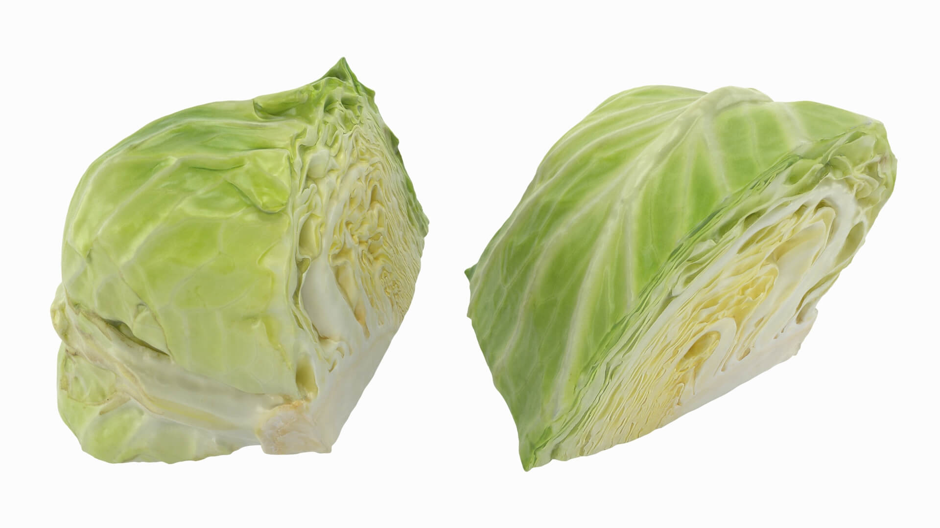 Flat Cabbage Slice - 3D Scanned 3D Model