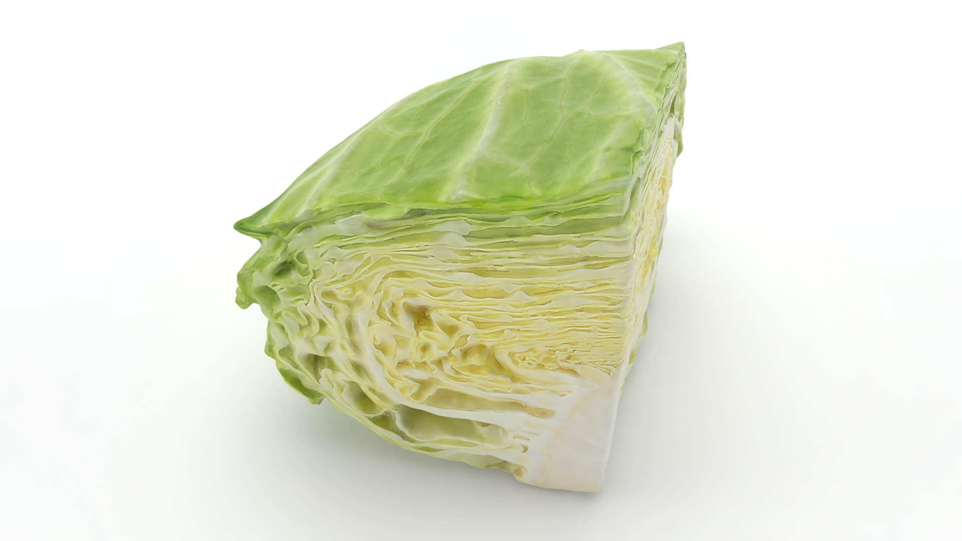 Flat Cabbage Slice - 3D Scanned 3D Model