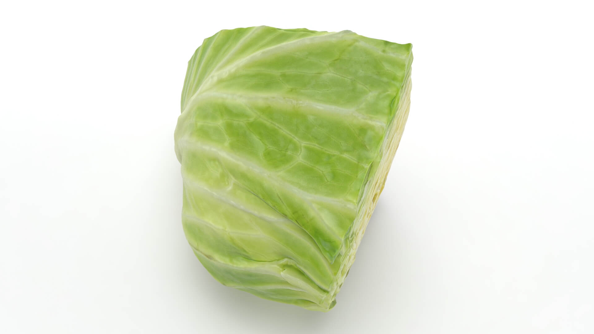 Flat Cabbage Slice - 3D Scanned 3D Model