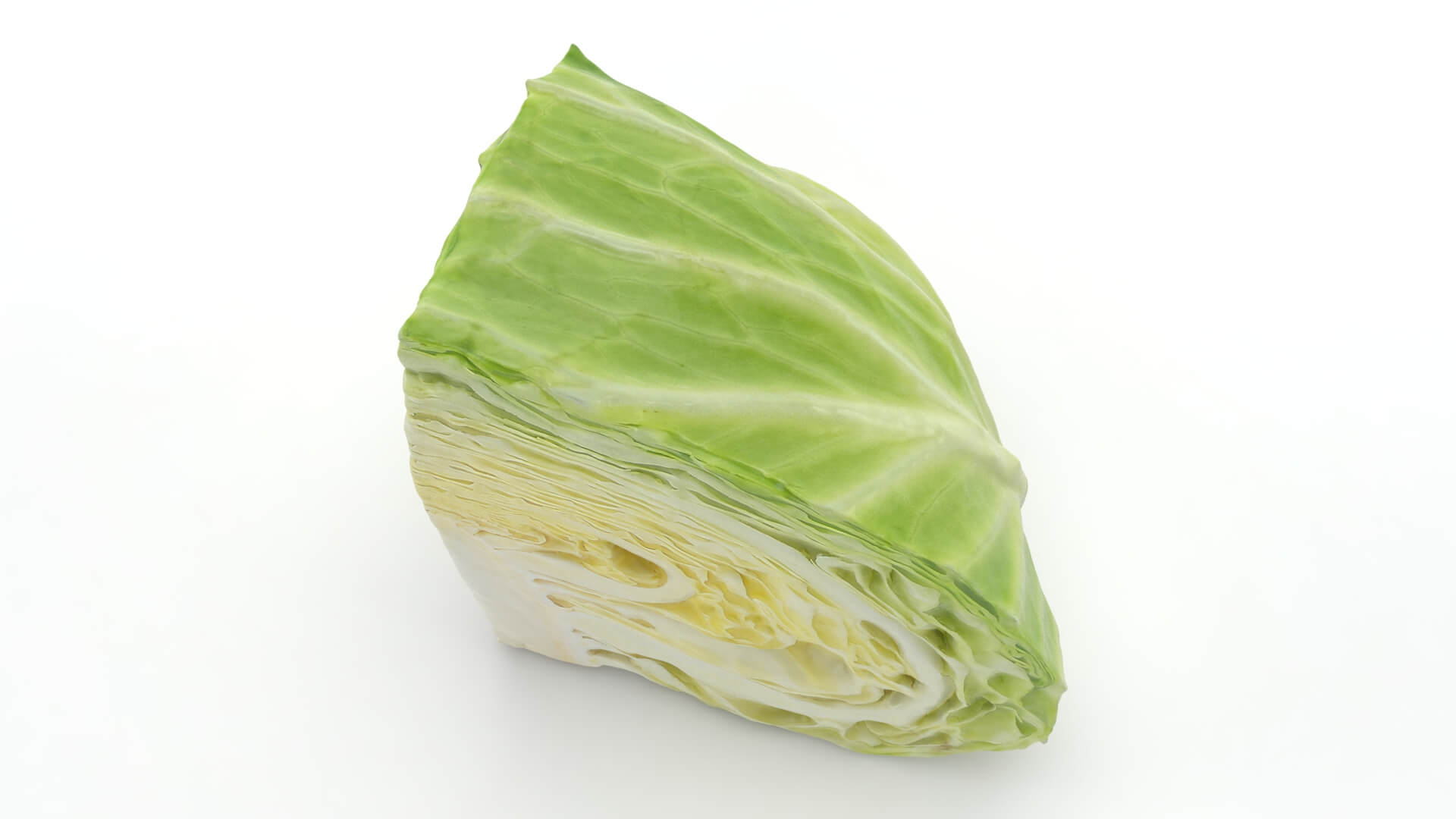Flat Cabbage Slice - 3D Scanned 3D Model