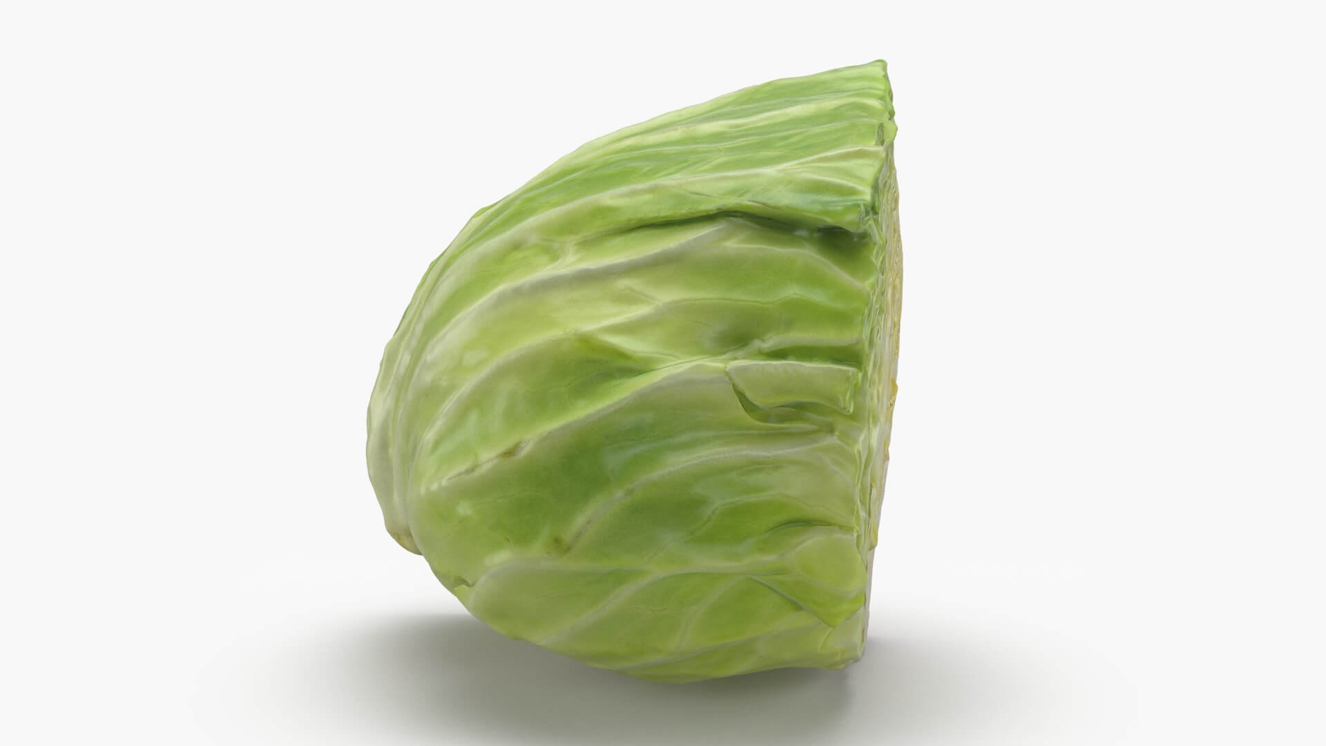 Flat Cabbage Slice - 3D Scanned 3D Model