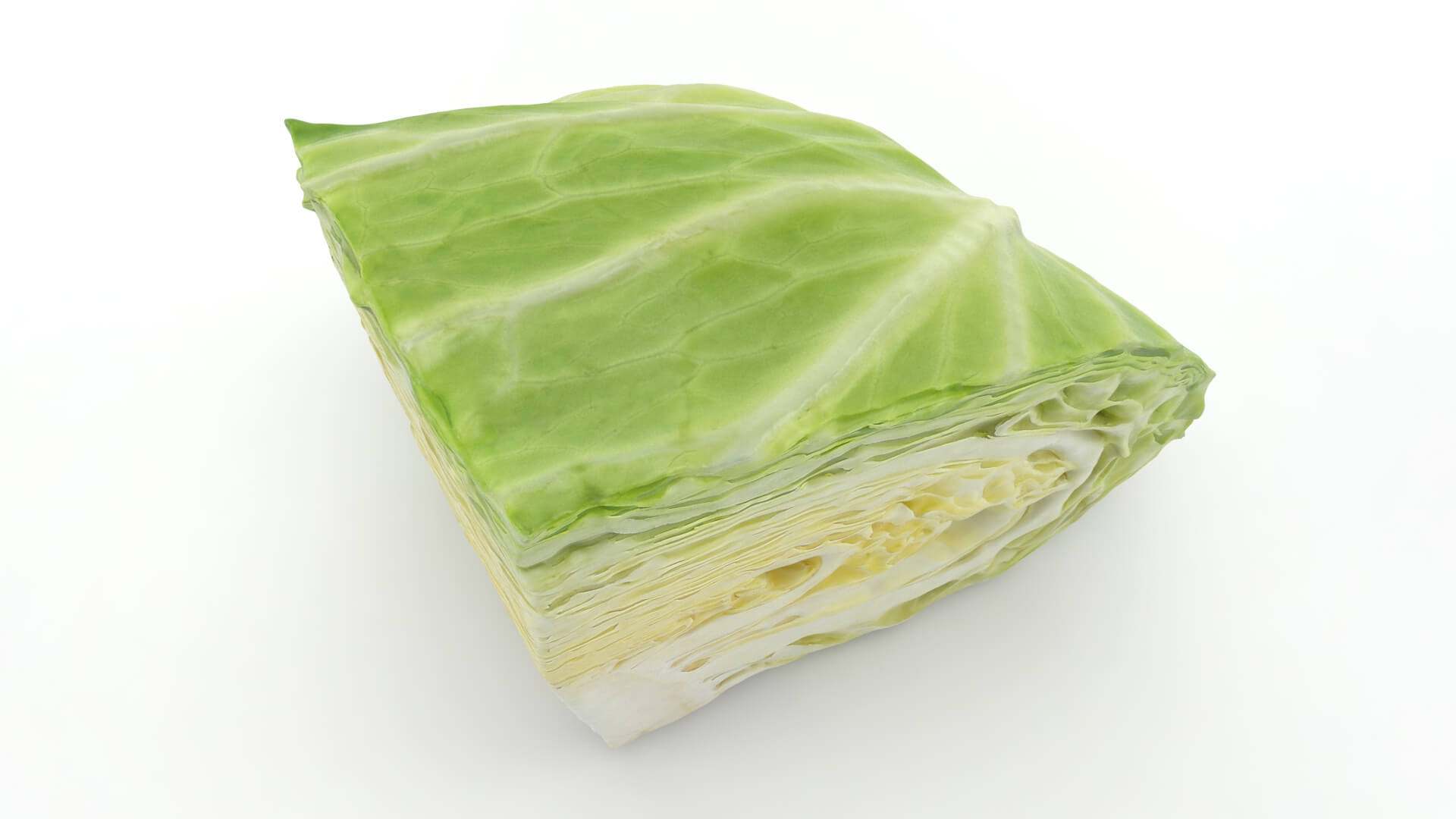 Flat Cabbage Slice - 3D Scanned 3D Model