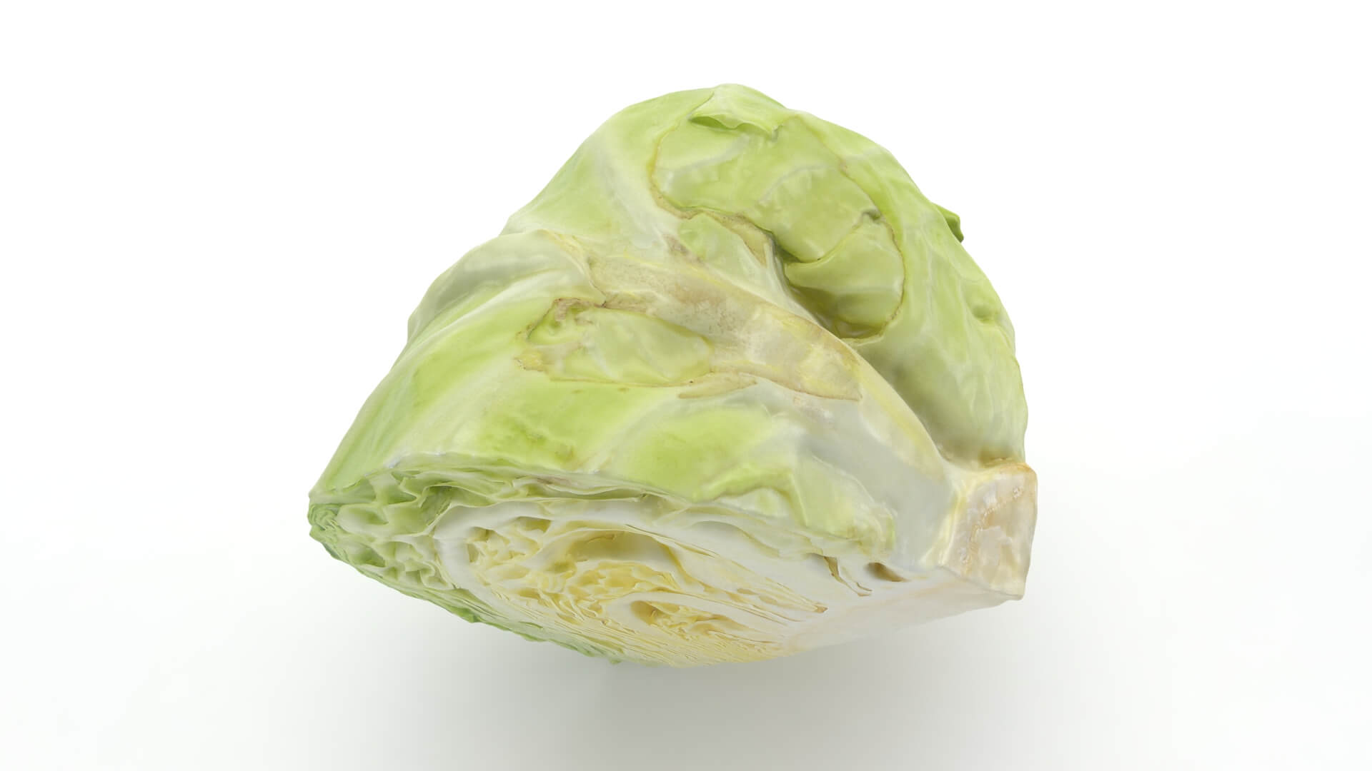 Flat Cabbage Slice - 3D Scanned 3D Model