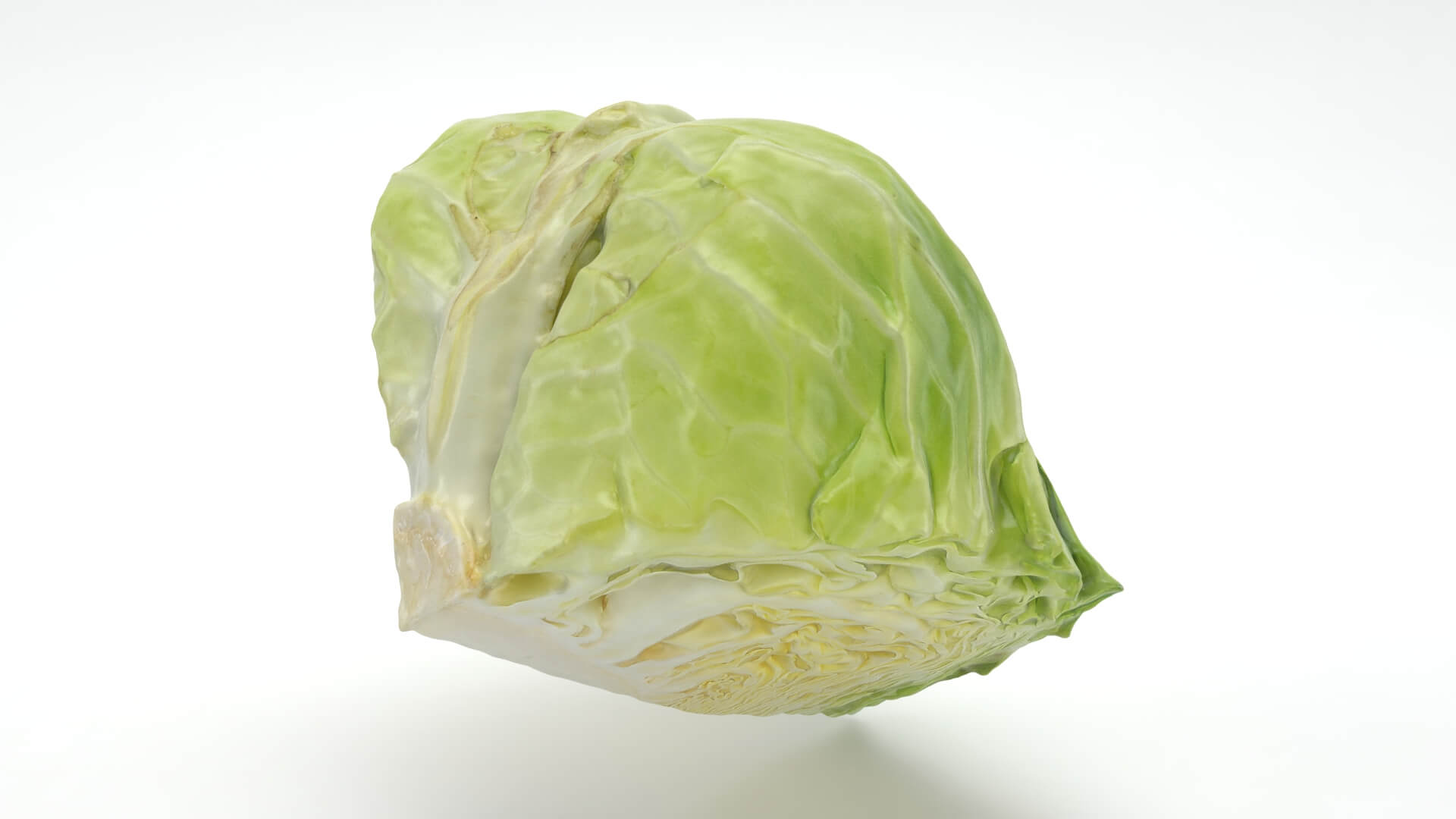 Flat Cabbage Slice - 3D Scanned 3D Model