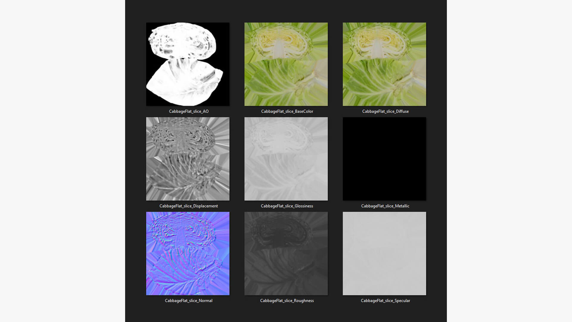 Flat Cabbage Slice - 3D Scanned 3D Model