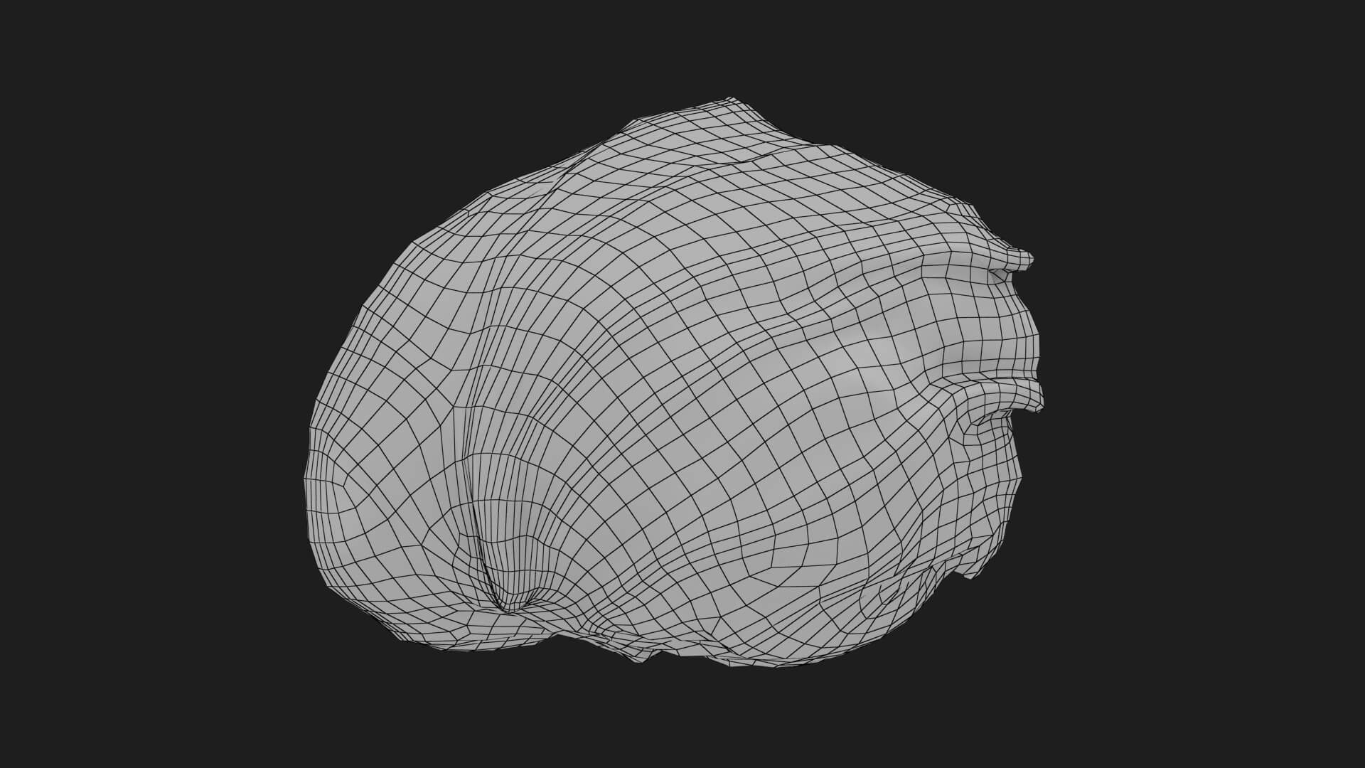 Flat Cabbage Slice - 3D Scanned 3D Model
