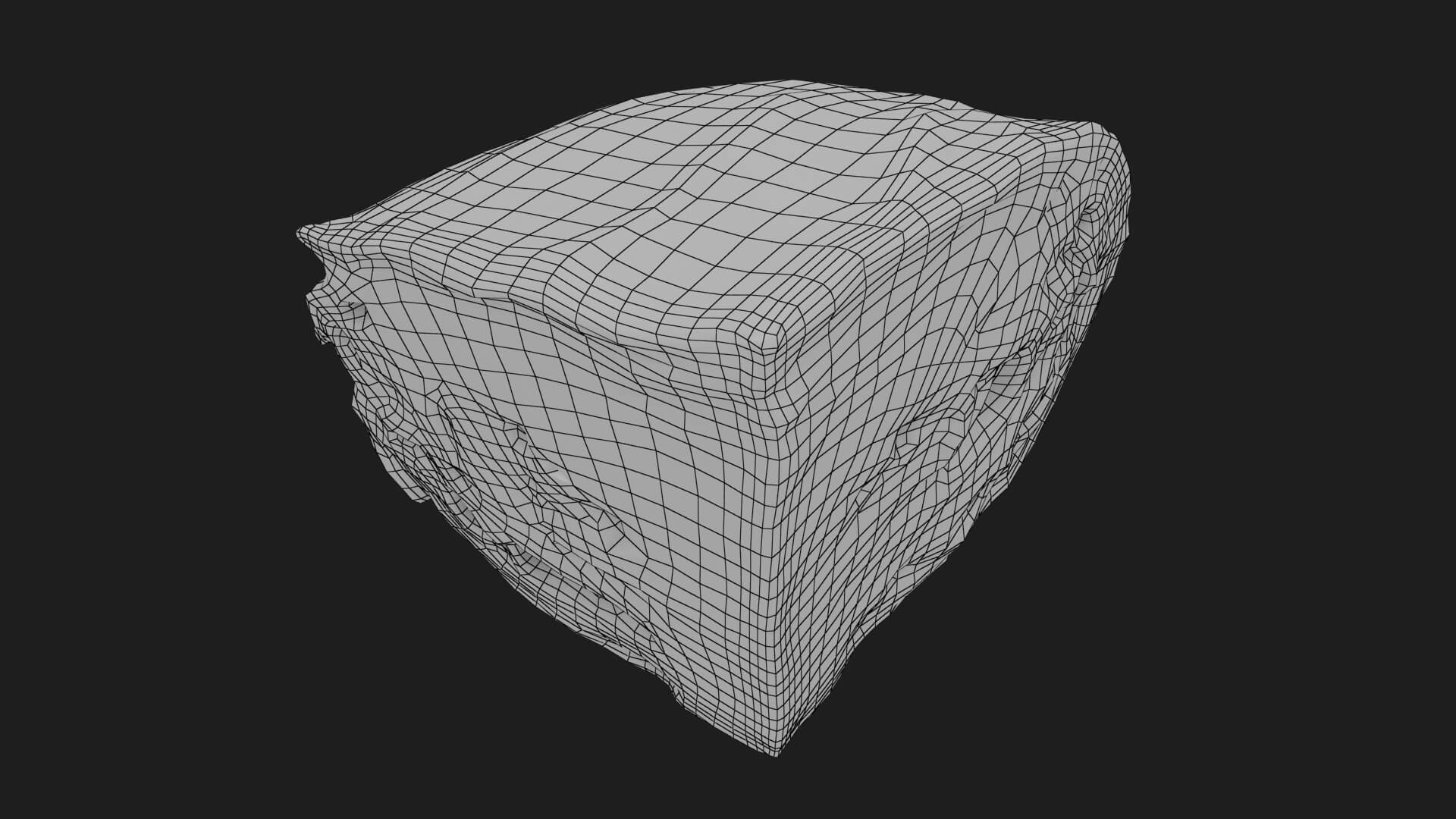 Flat Cabbage Slice - 3D Scanned 3D Model