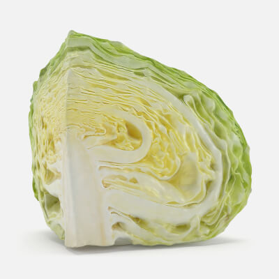 Flat Cabbage Slice - 3D Scanned
