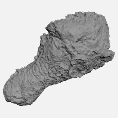 Fried Chicken Leg - For 3D Print