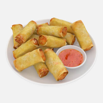 Fried Spring Roll Plate