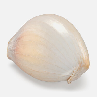 Garlic Clove 02