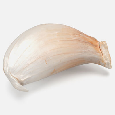 Garlic Clove 03