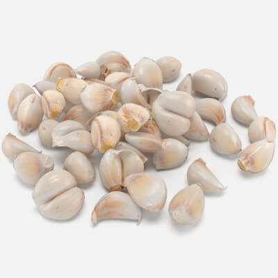 Garlic Clove Pile v2