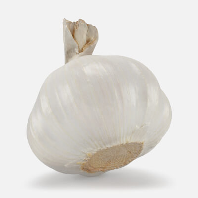 Realistic Garlic
