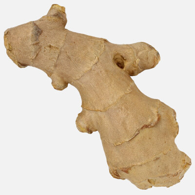 Realistic Ginger 01