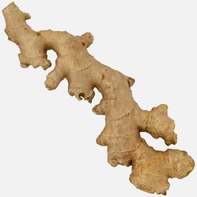 Realistic Ginger 02