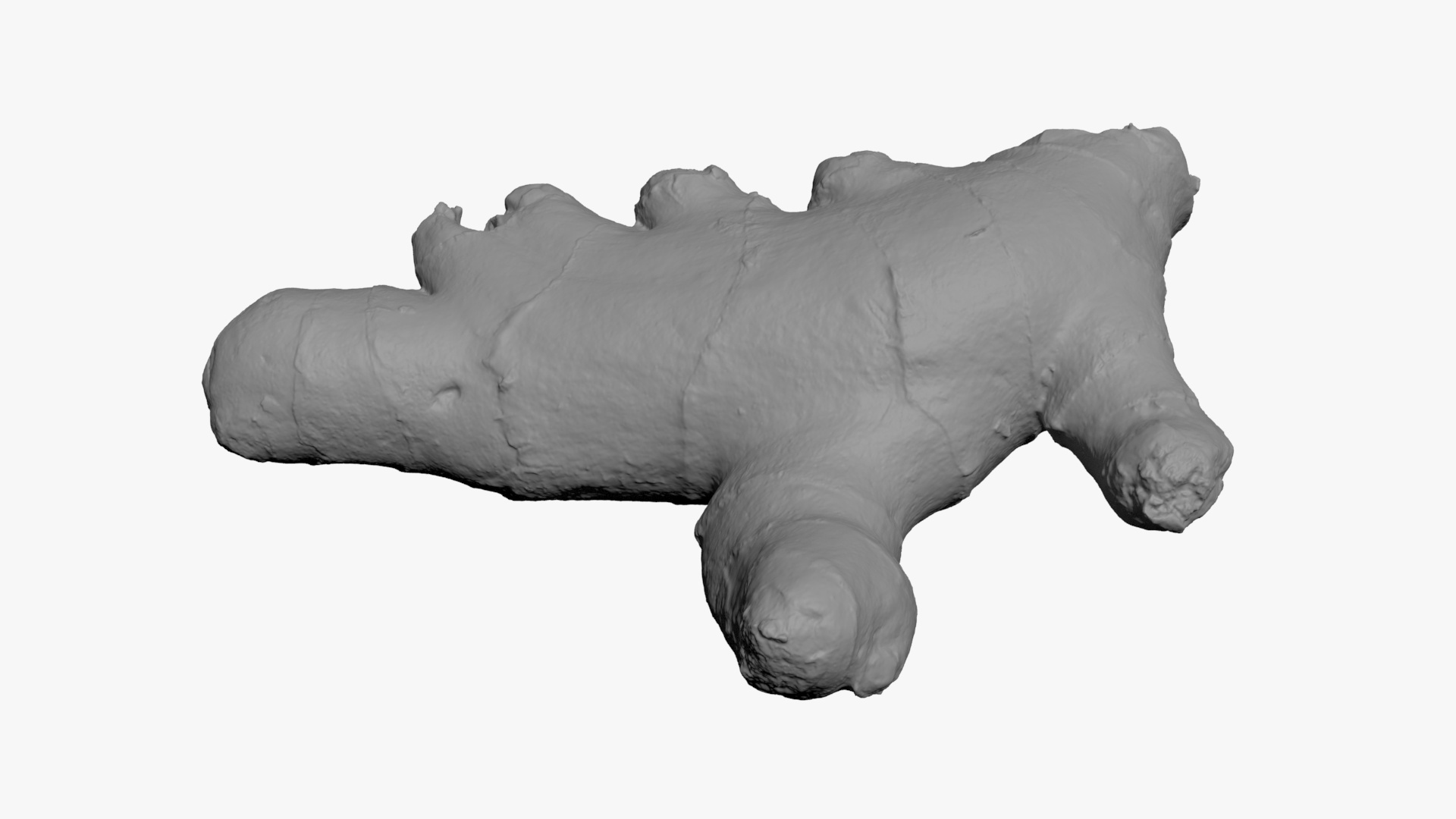 Ginger Root 01 - For 3D Print 3D Model