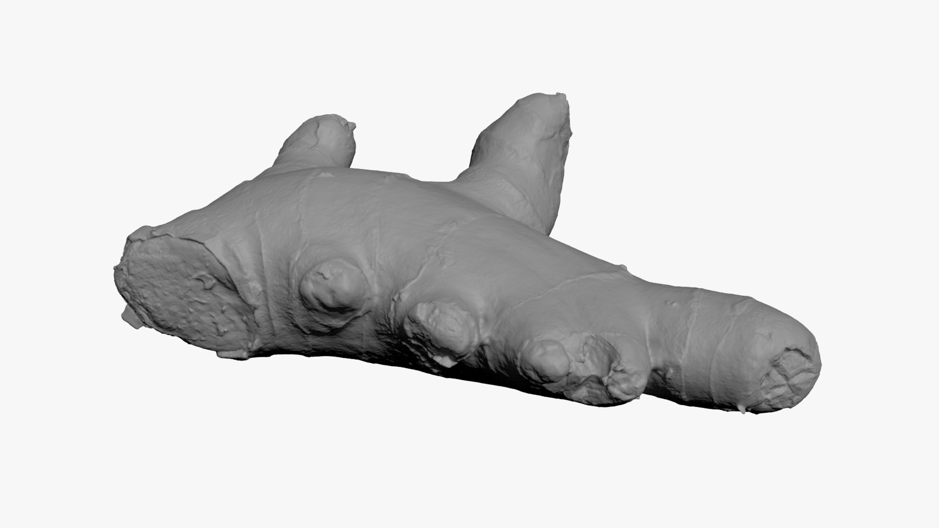 Ginger Root 01 - For 3D Print 3D Model