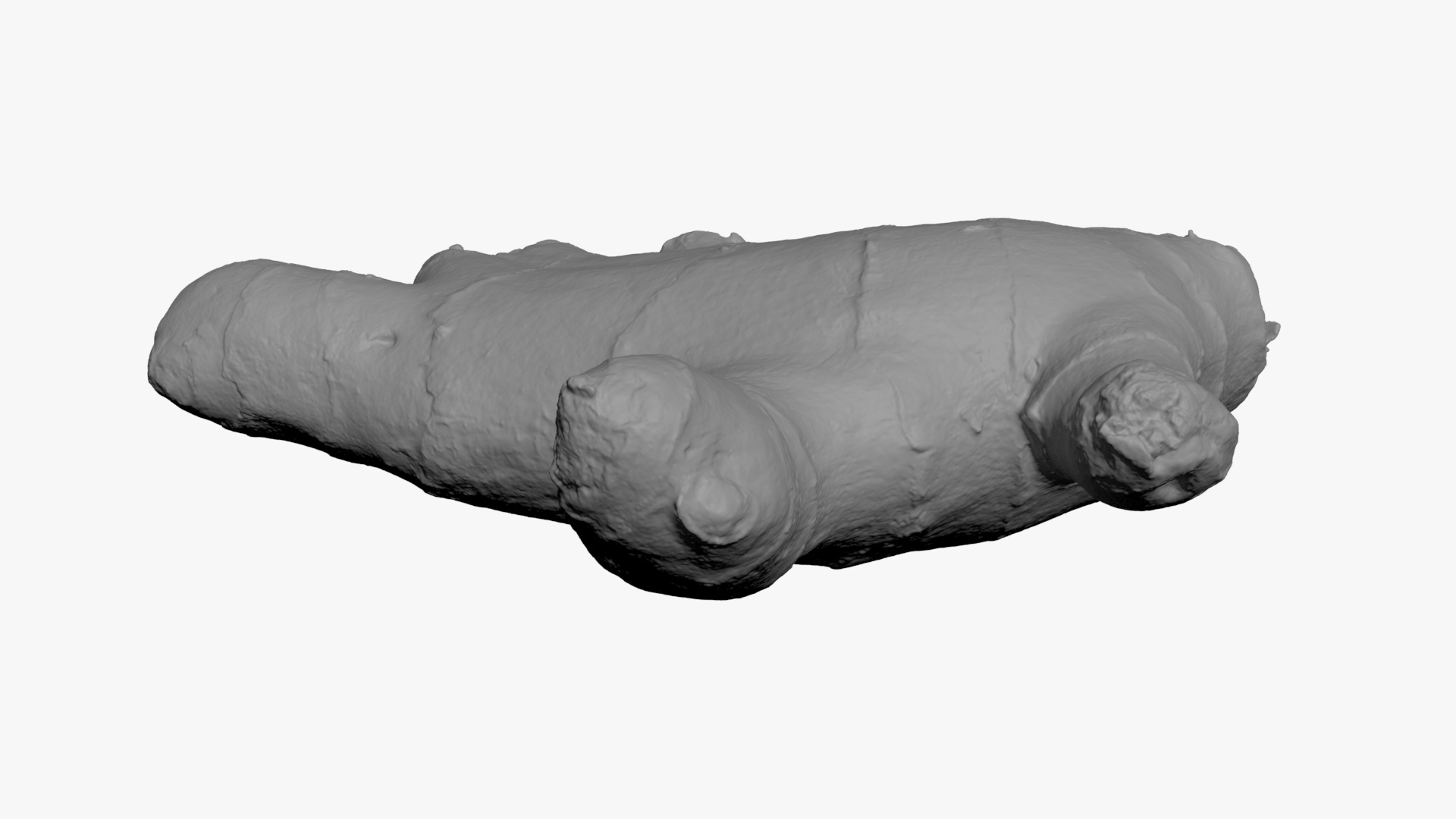 Ginger Root 01 - For 3D Print 3D Model
