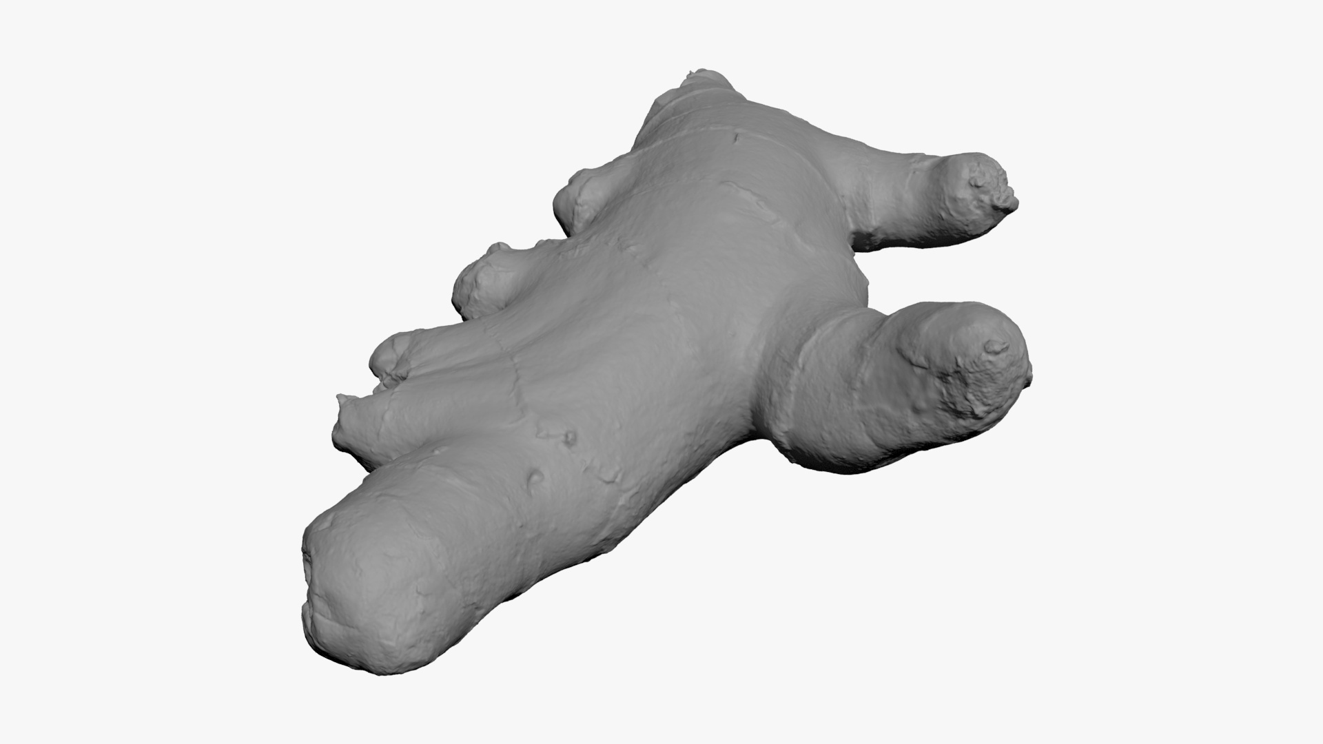 Ginger Root 01 - For 3D Print 3D Model