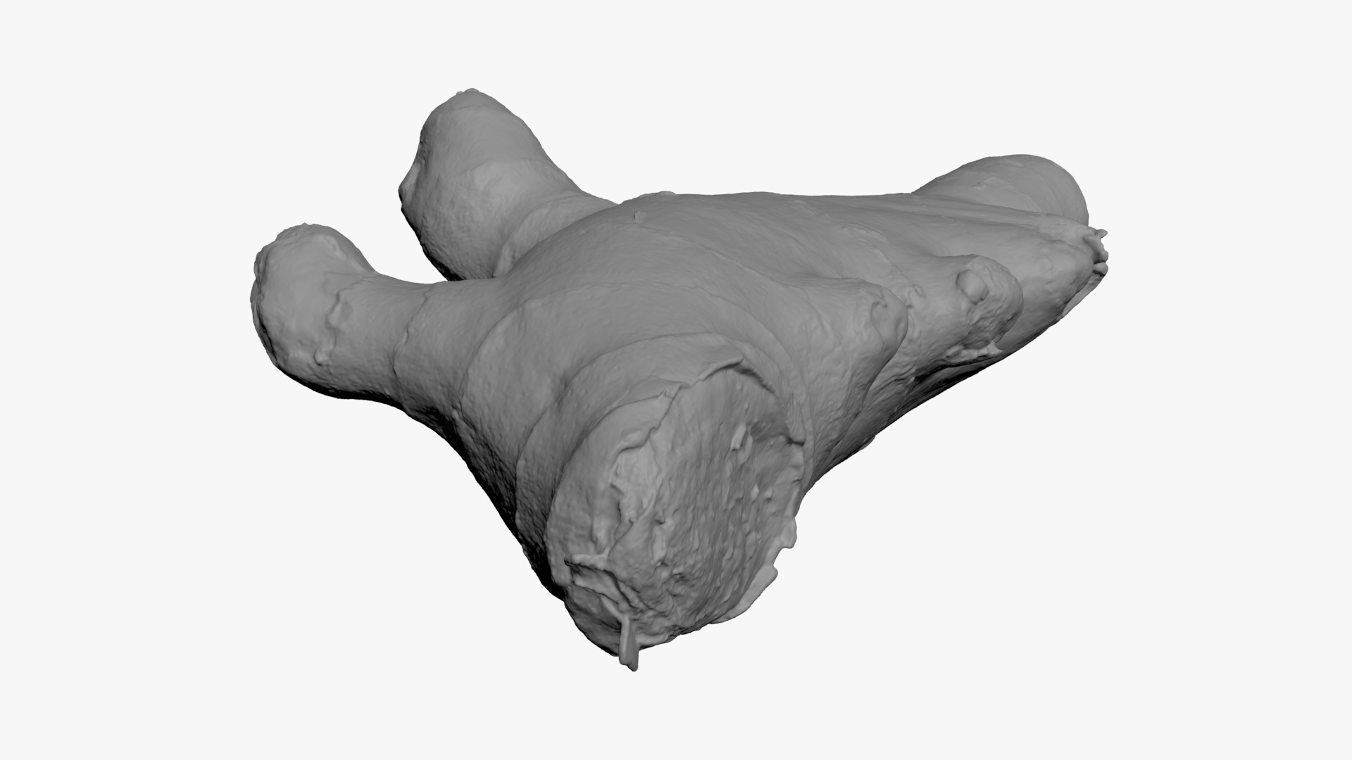 Ginger Root 01 - For 3D Print 3D Model