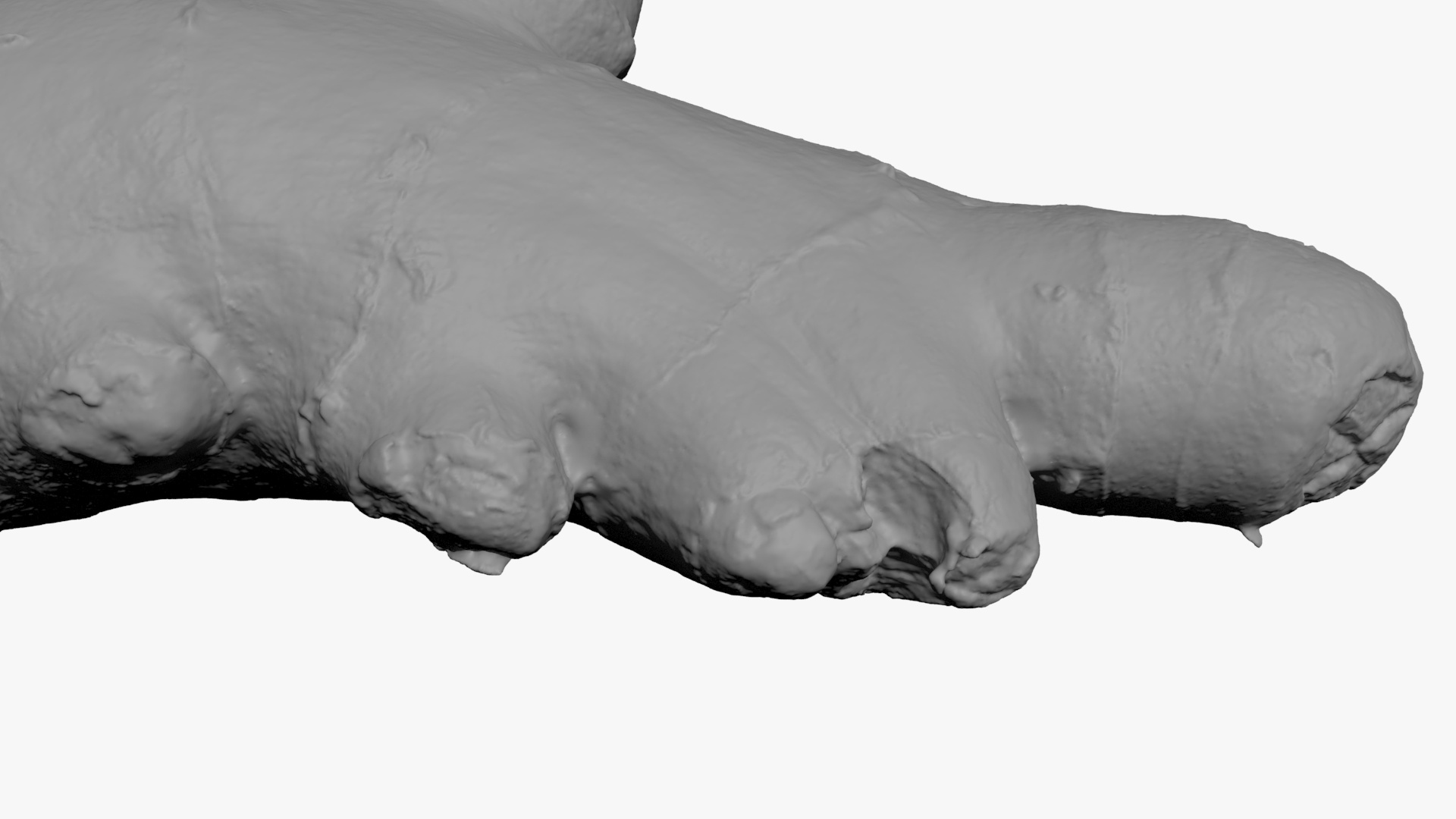 Ginger Root 01 - For 3D Print 3D Model