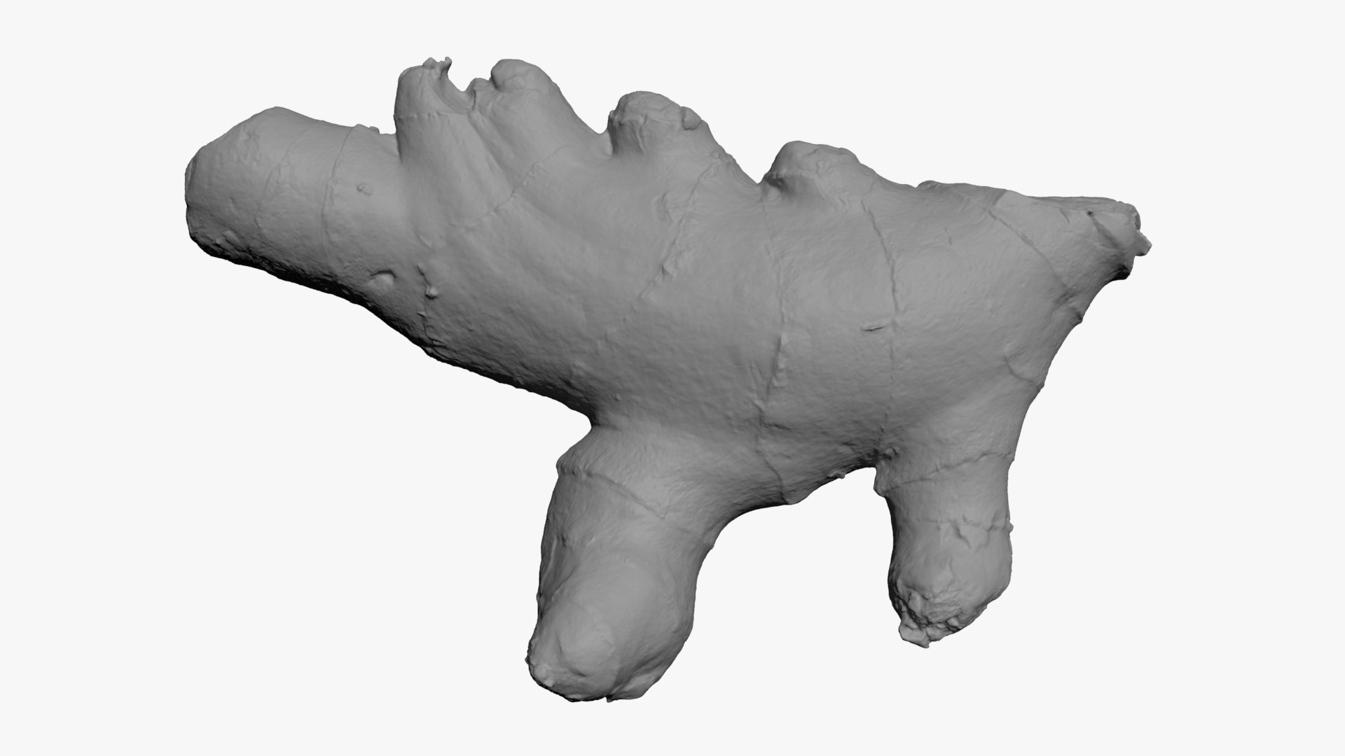 Ginger Root 01 - For 3D Print 3D Model