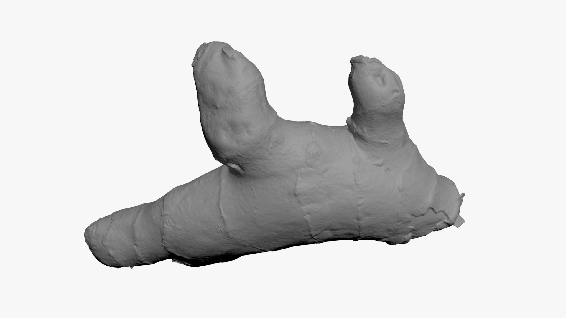 Ginger Root 01 - For 3D Print 3D Model