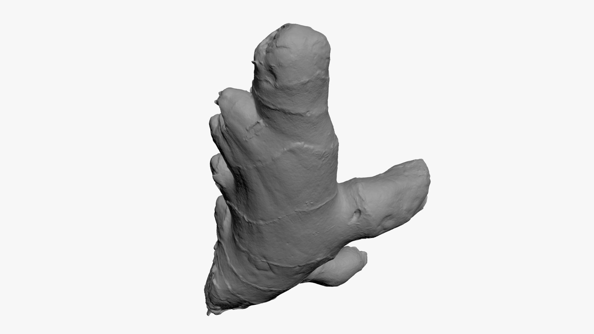 Ginger Root 01 - For 3D Print 3D Model