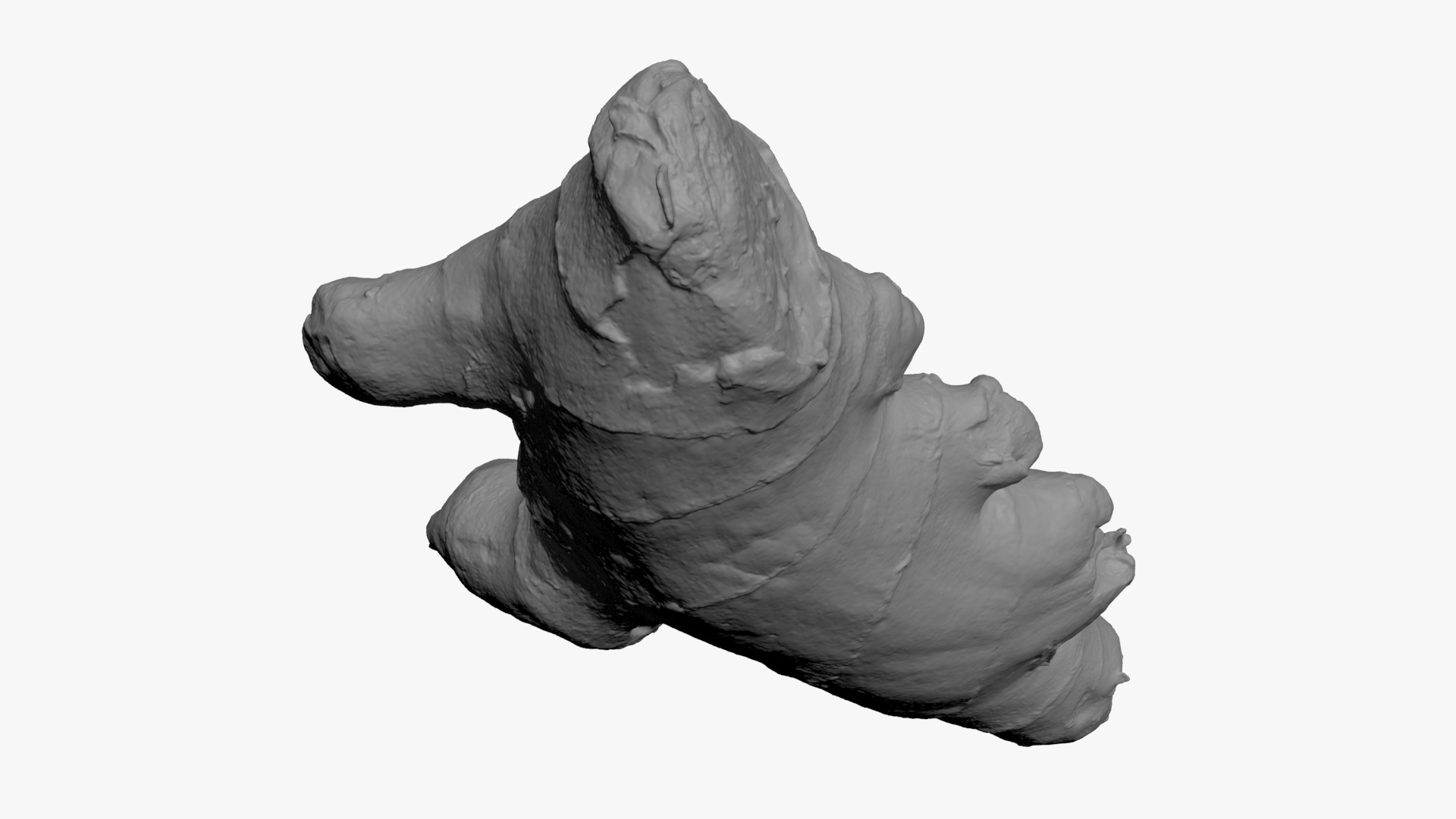 Ginger Root 01 - For 3D Print 3D Model