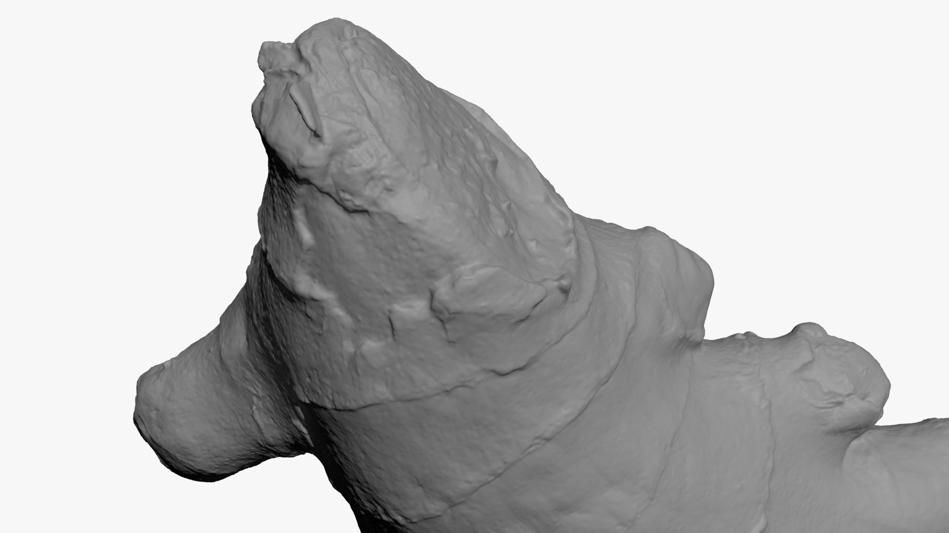 Ginger Root 01 - For 3D Print 3D Model