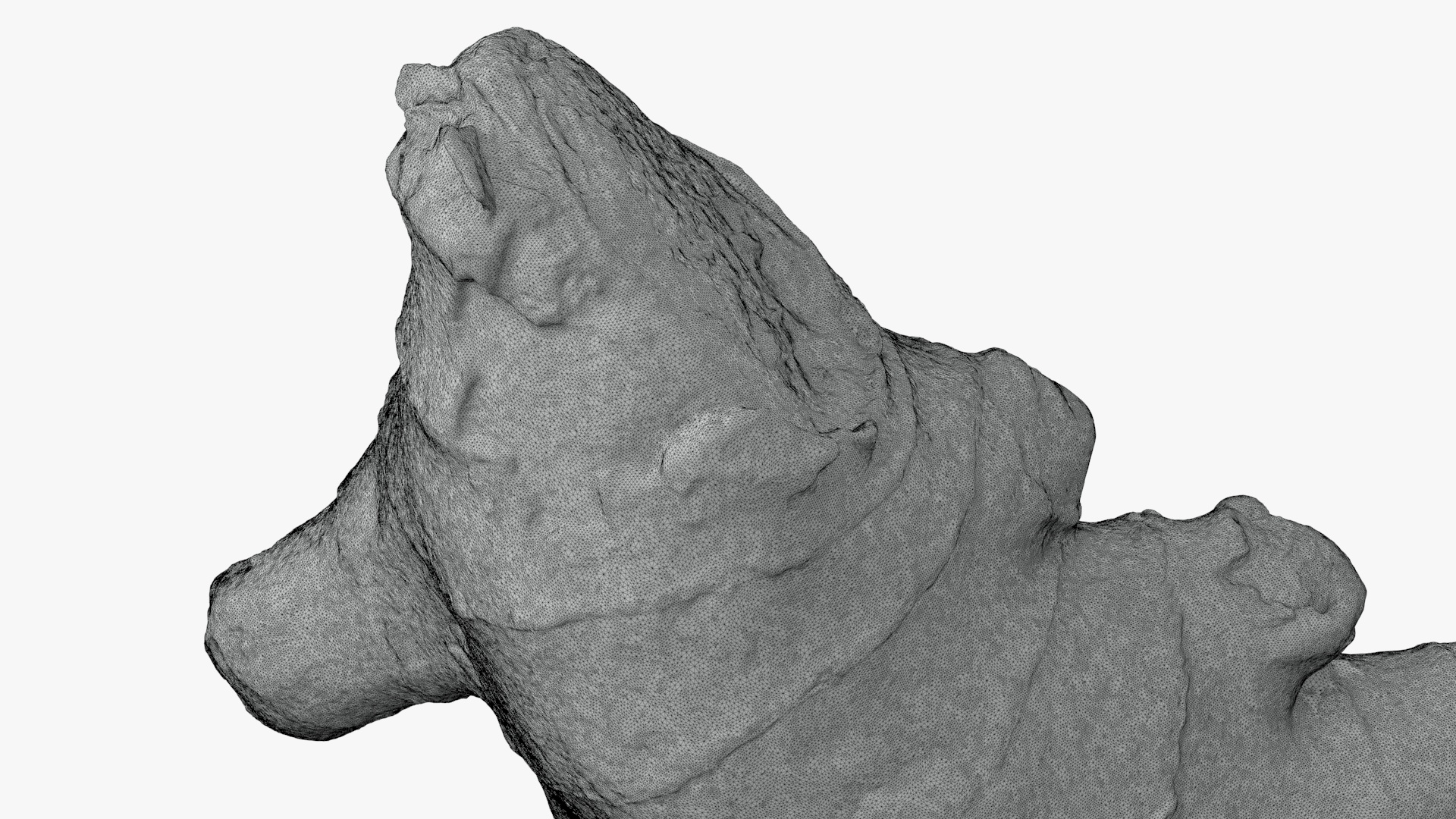 Ginger Root 01 - For 3D Print 3D Model