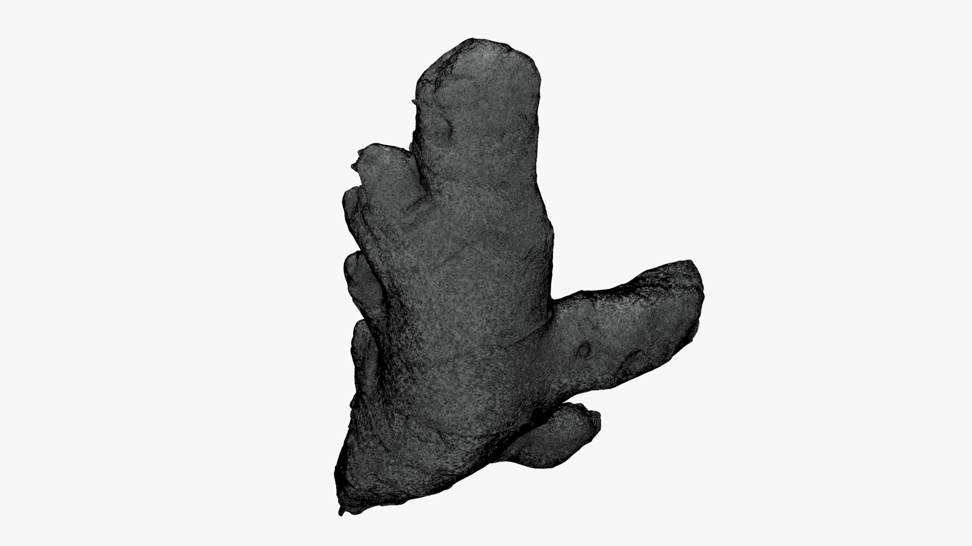 Ginger Root 01 - For 3D Print 3D Model