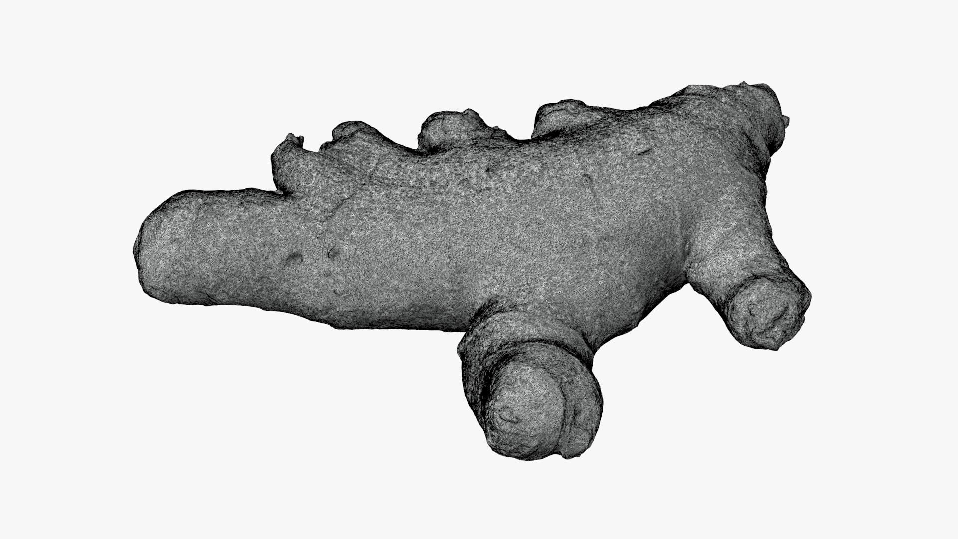 Ginger Root 01 - For 3D Print 3D Model