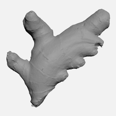 Ginger Root 01 - For 3D Print