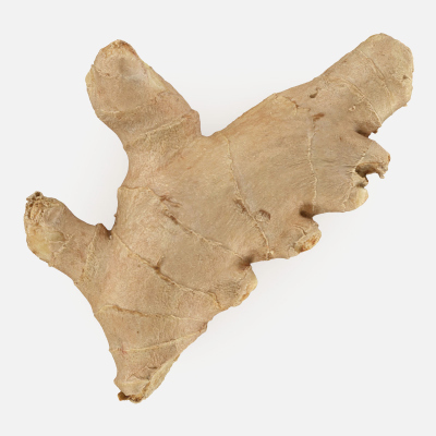 Ginger Root 01