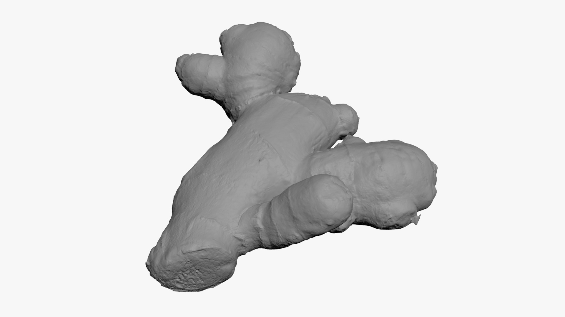 Ginger Root 02 - For 3D Print 3D Model
