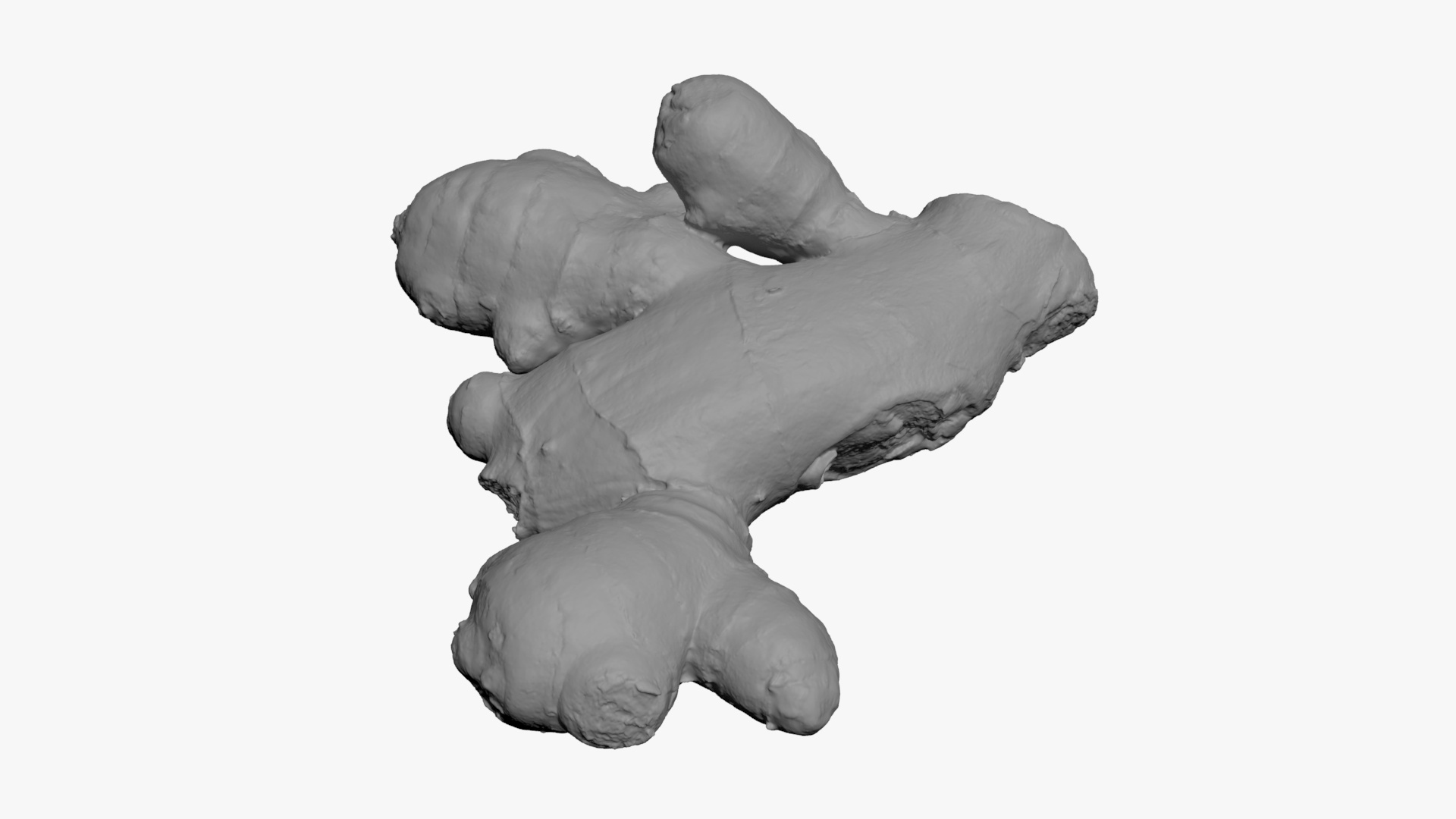Ginger Root 02 - For 3D Print 3D Model