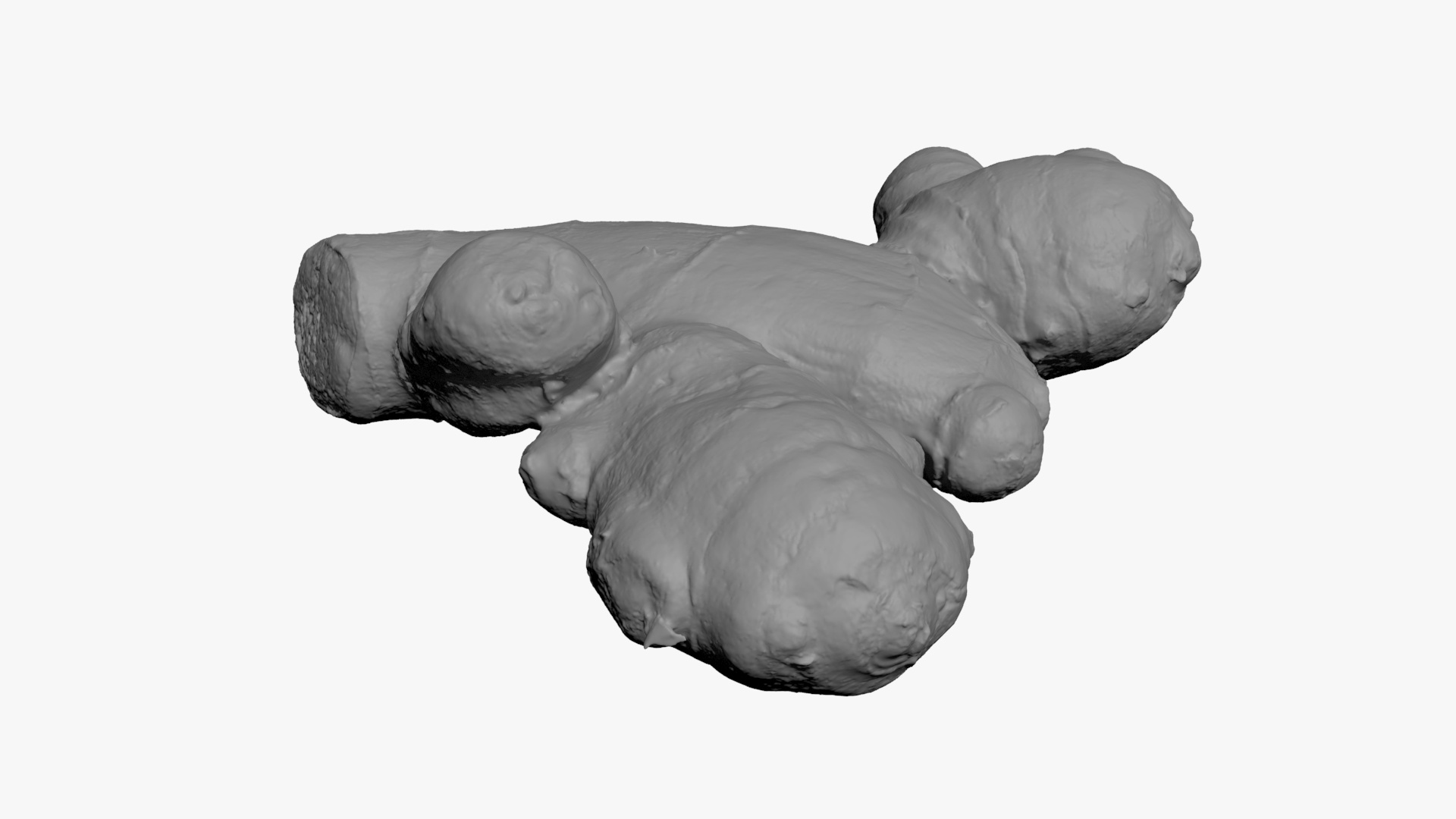 Ginger Root 02 - For 3D Print 3D Model