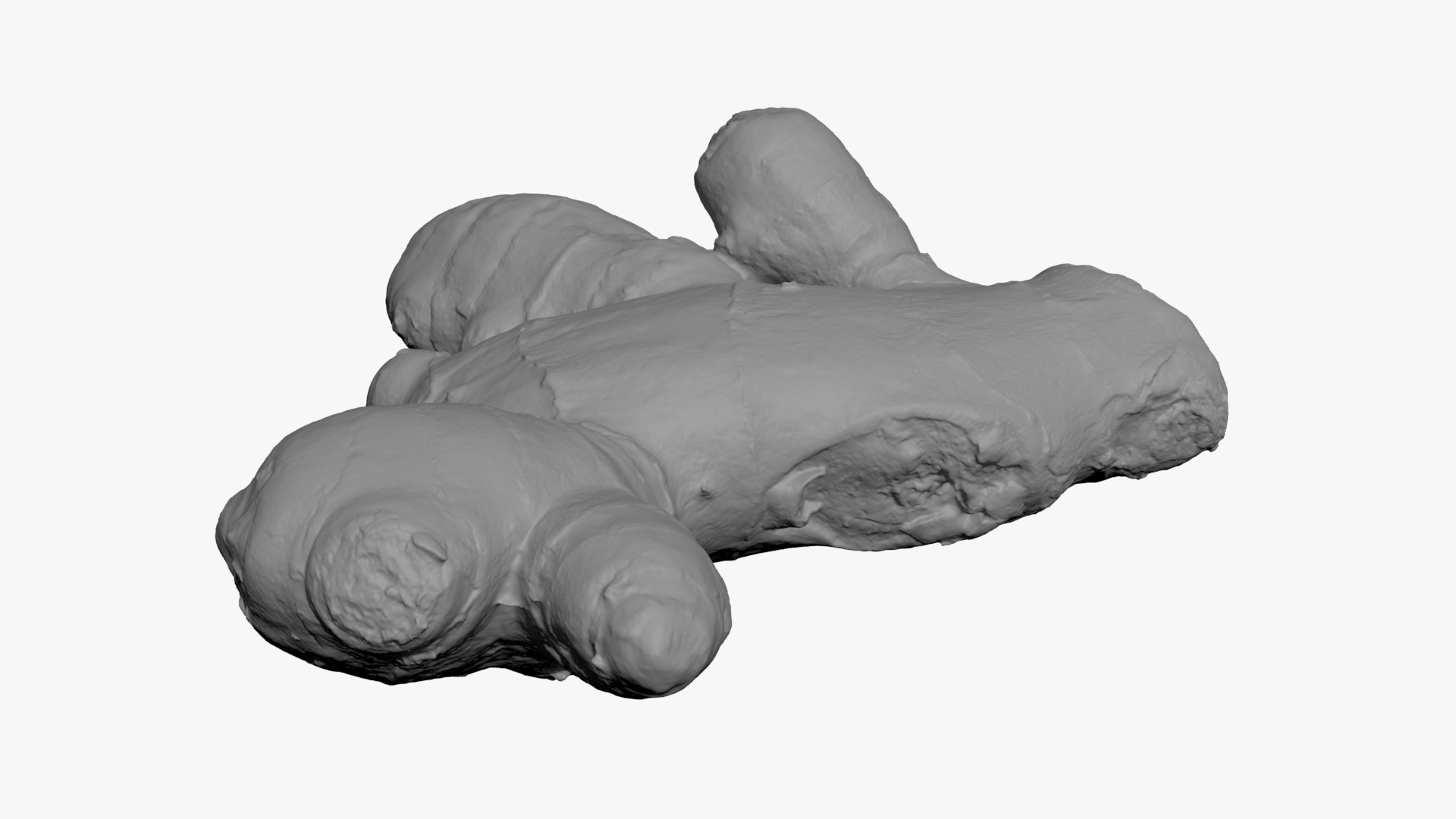 Ginger Root 02 - For 3D Print 3D Model
