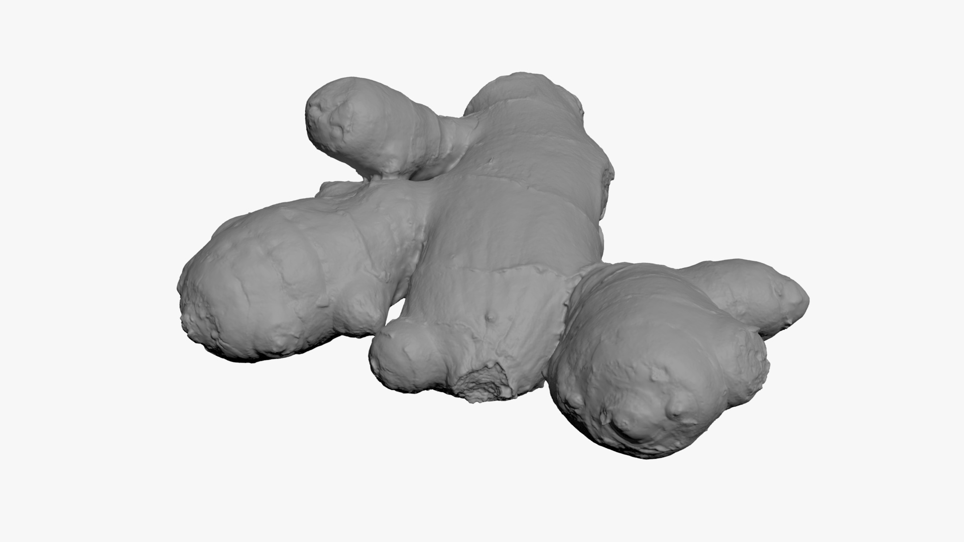 Ginger Root 02 - For 3D Print 3D Model