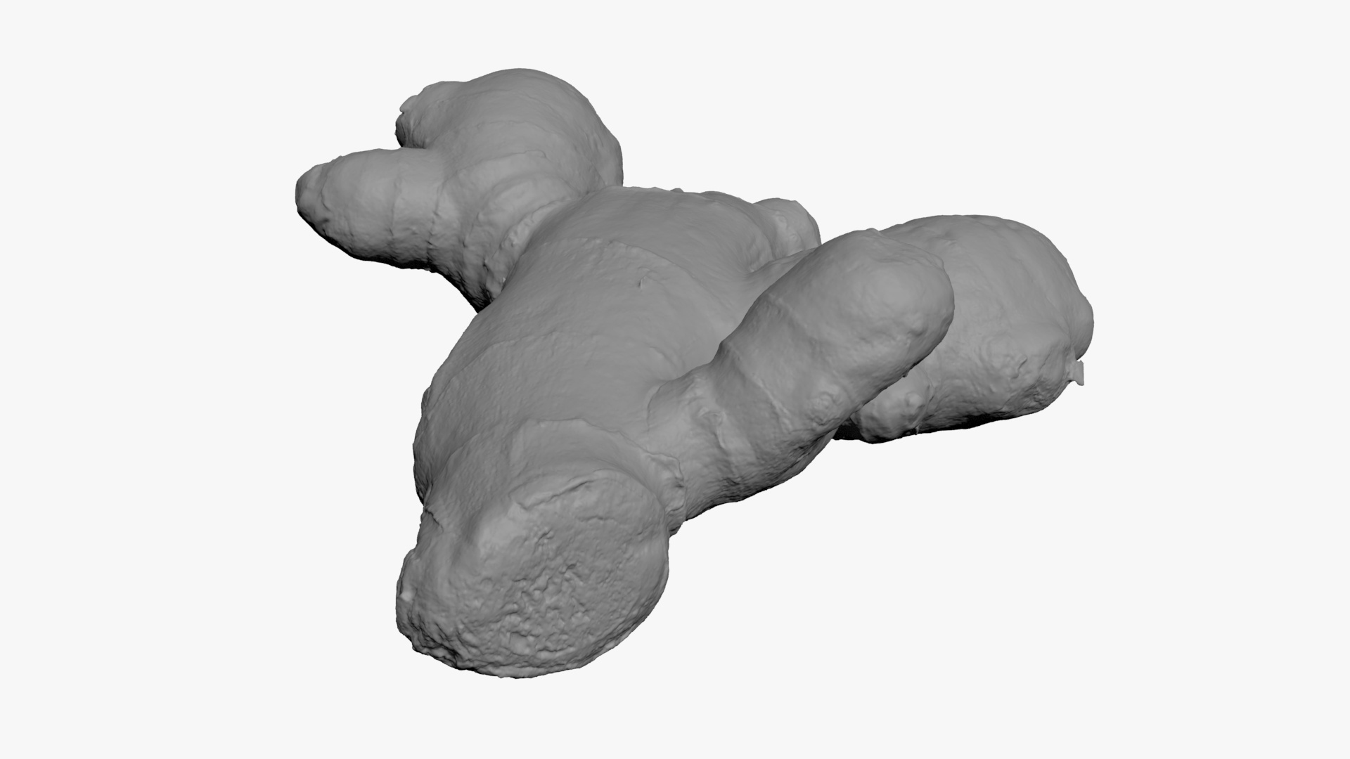 Ginger Root 02 - For 3D Print 3D Model