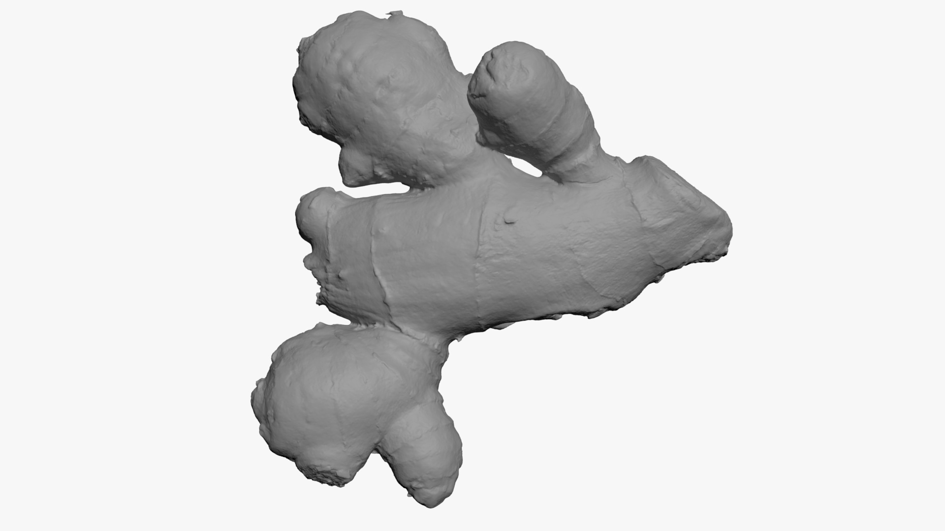Ginger Root 02 - For 3D Print 3D Model