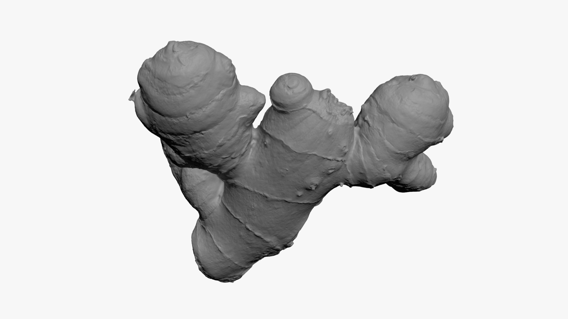 Ginger Root 02 - For 3D Print 3D Model