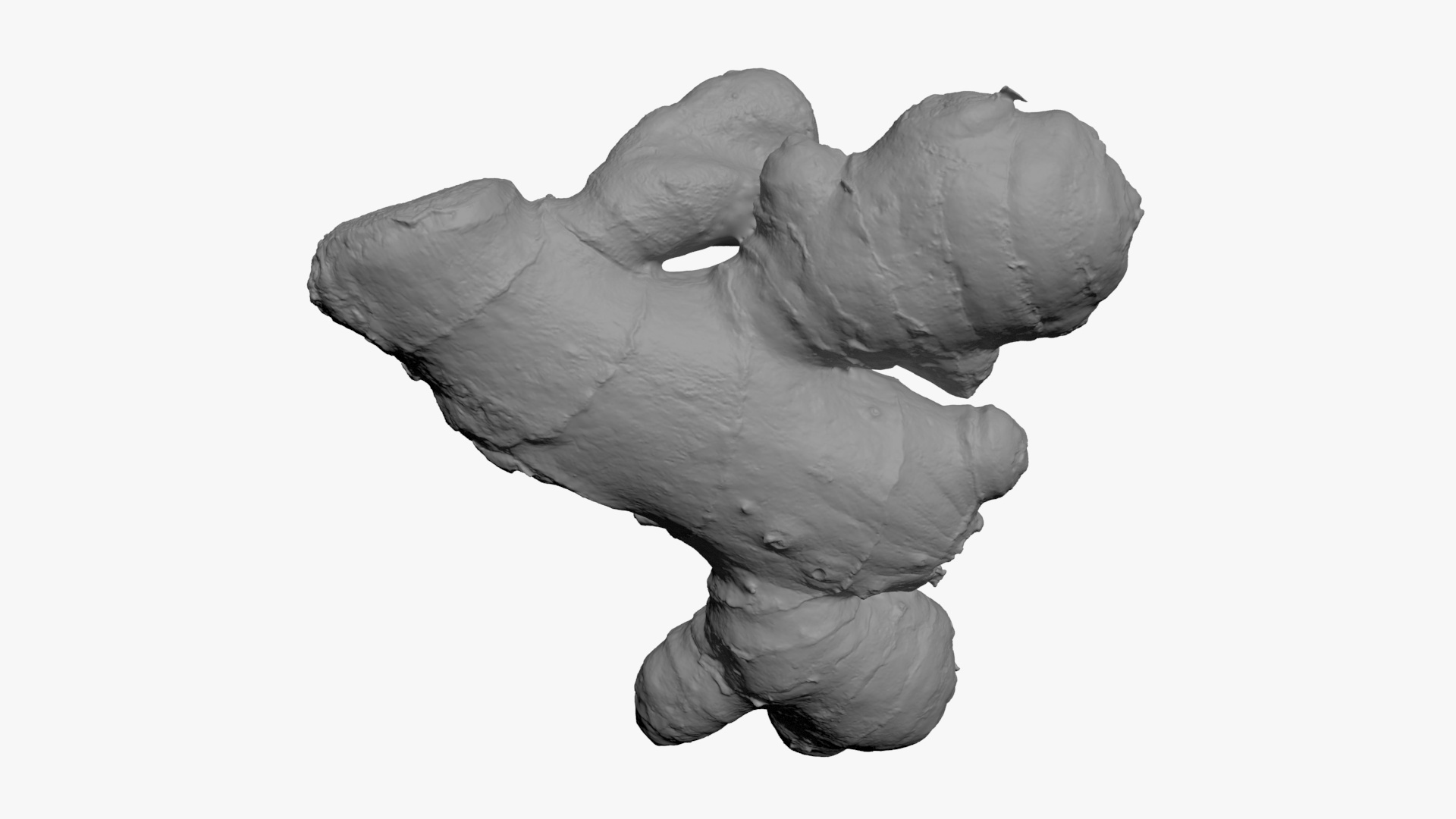 Ginger Root 02 - For 3D Print 3D Model
