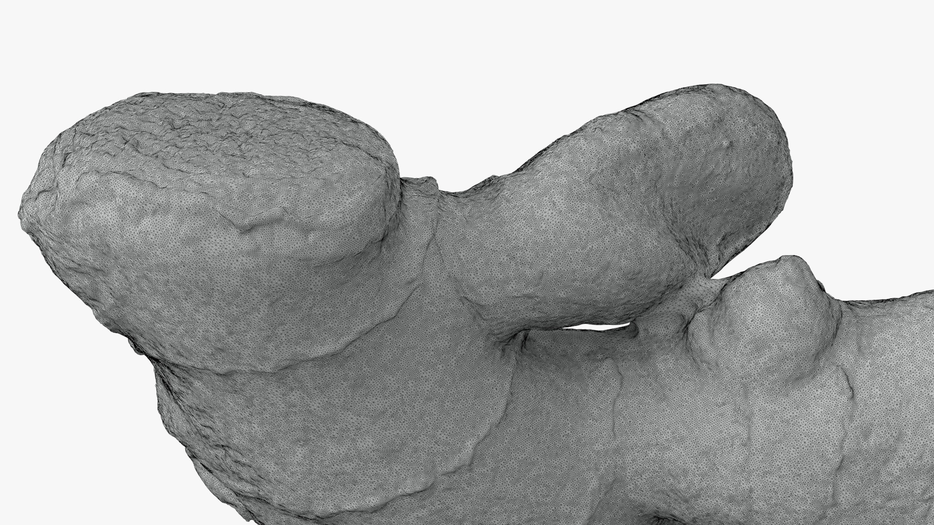 Ginger Root 02 - For 3D Print 3D Model